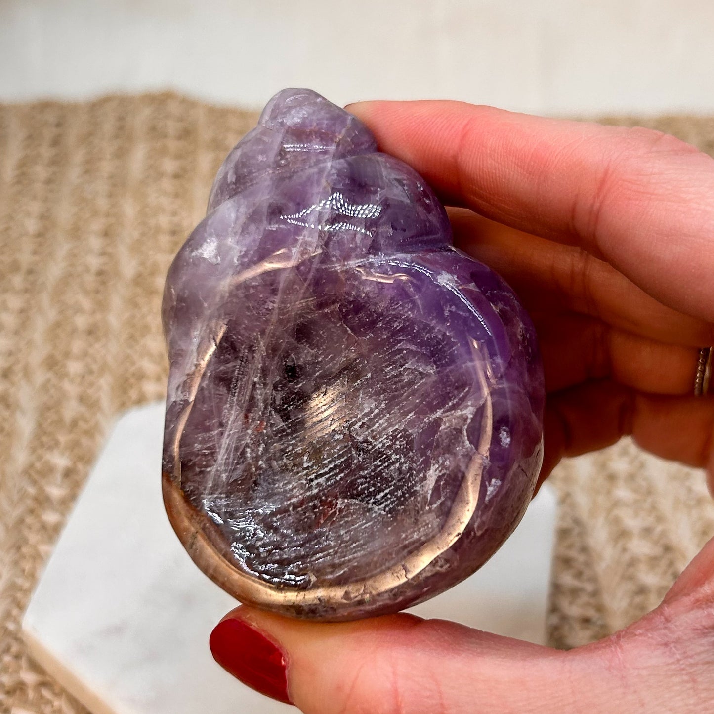 Amethyst Muschel mit mexikanischem Lace Achat