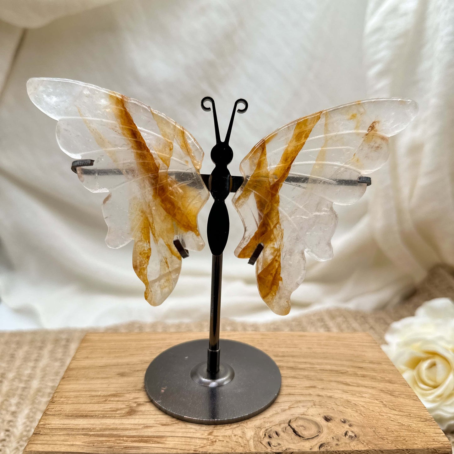 Golden Healer Schmetterling auf Ständer