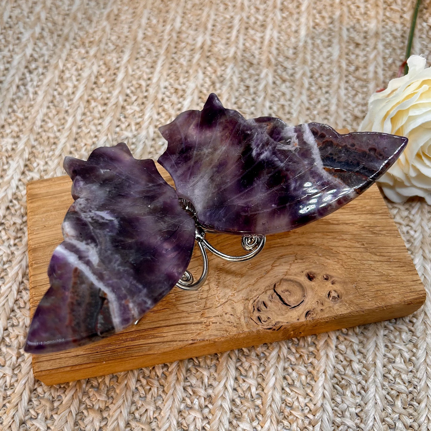 Chevron / Dream Amethyst Schmetterling