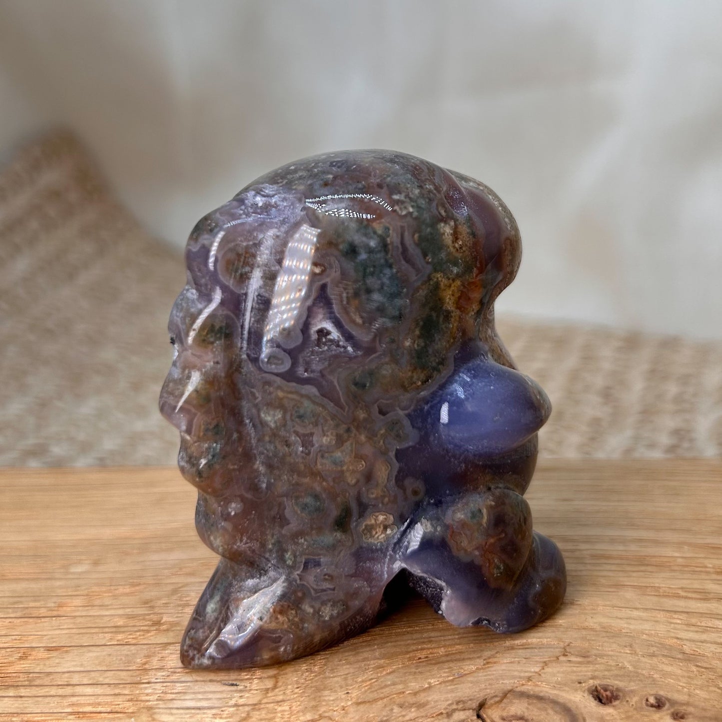 Ozeanjaspis Dinosaurier Druzy