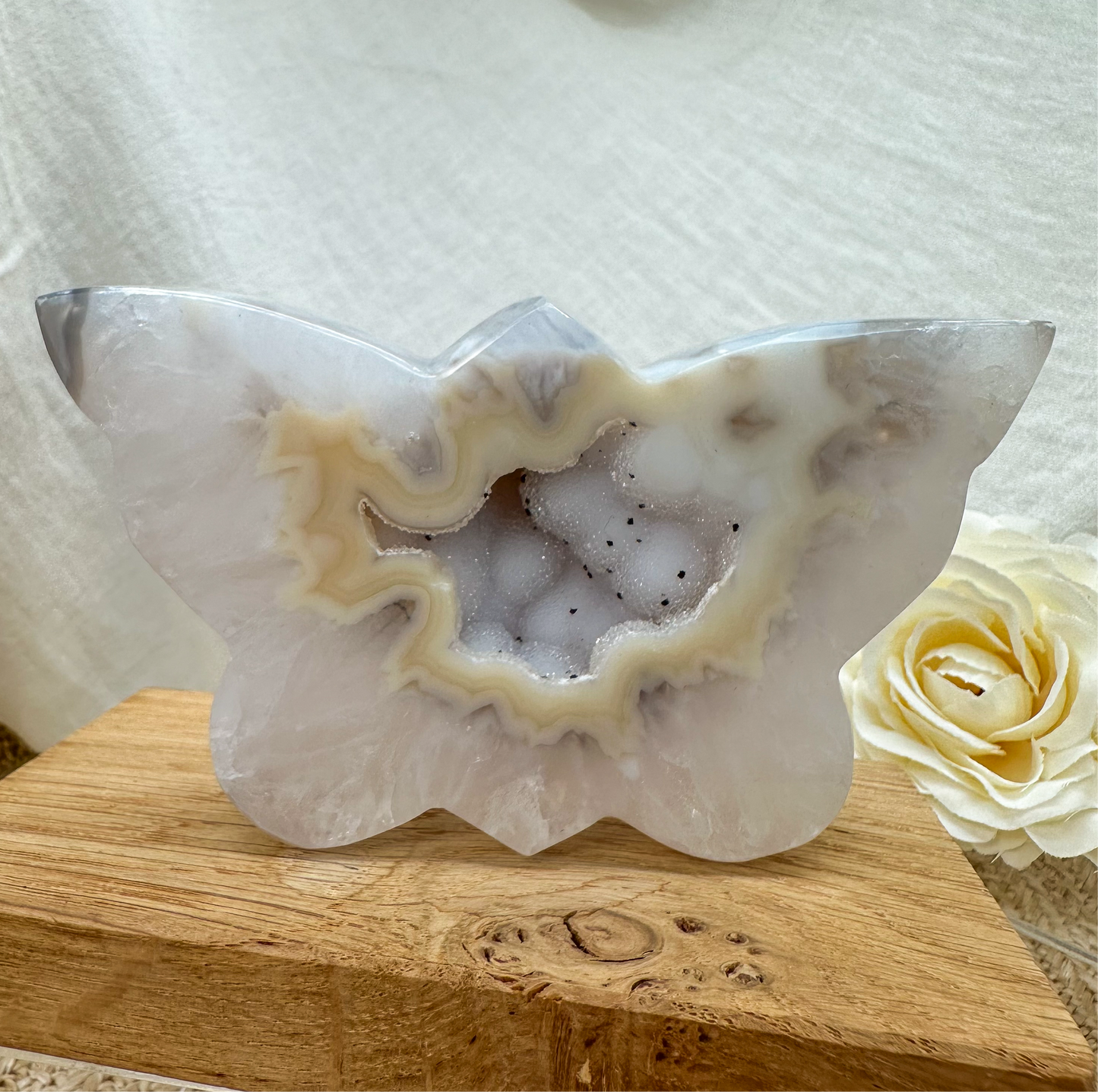 funkelnder Druzy Achat Schmetterling