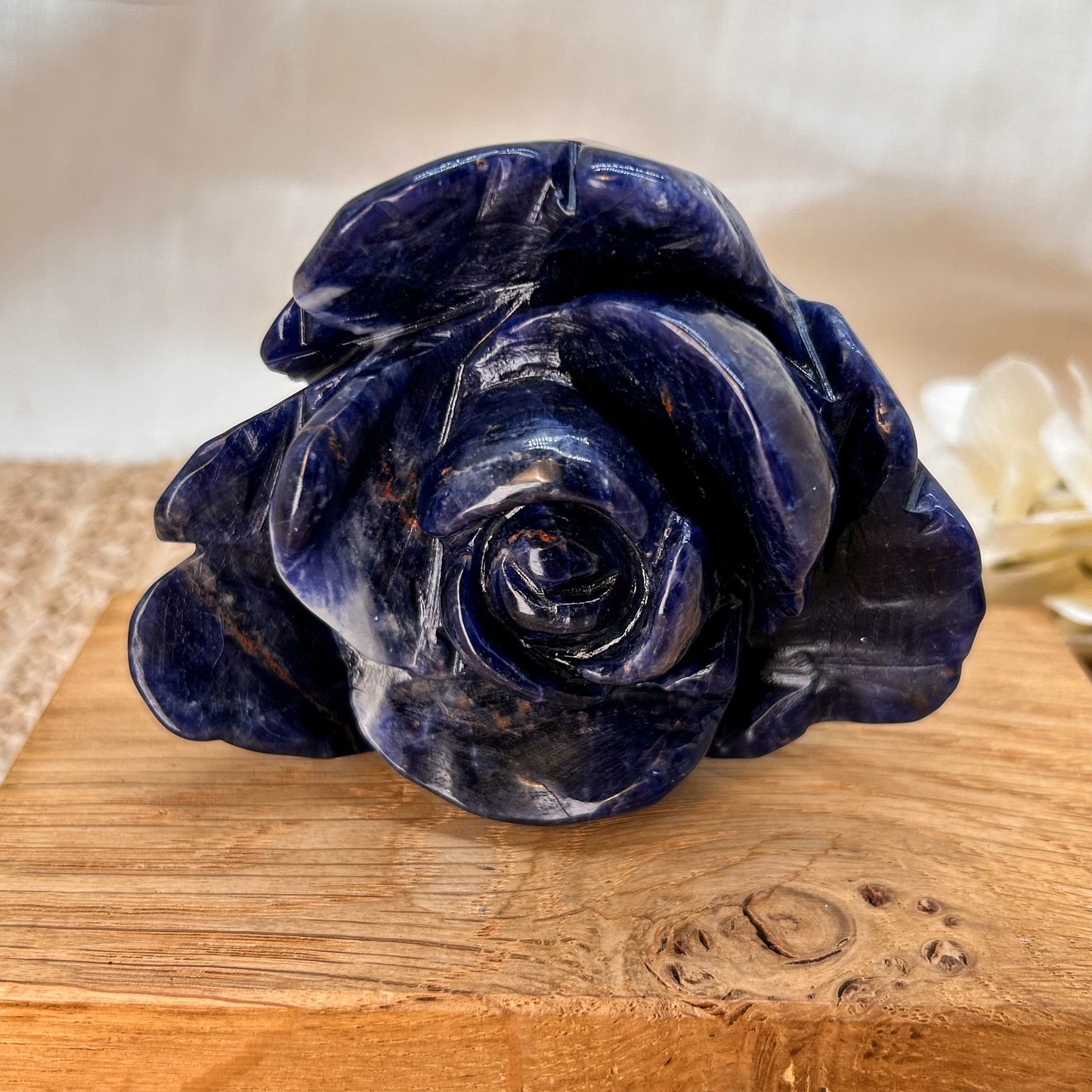 Sodalith Blume / Rose