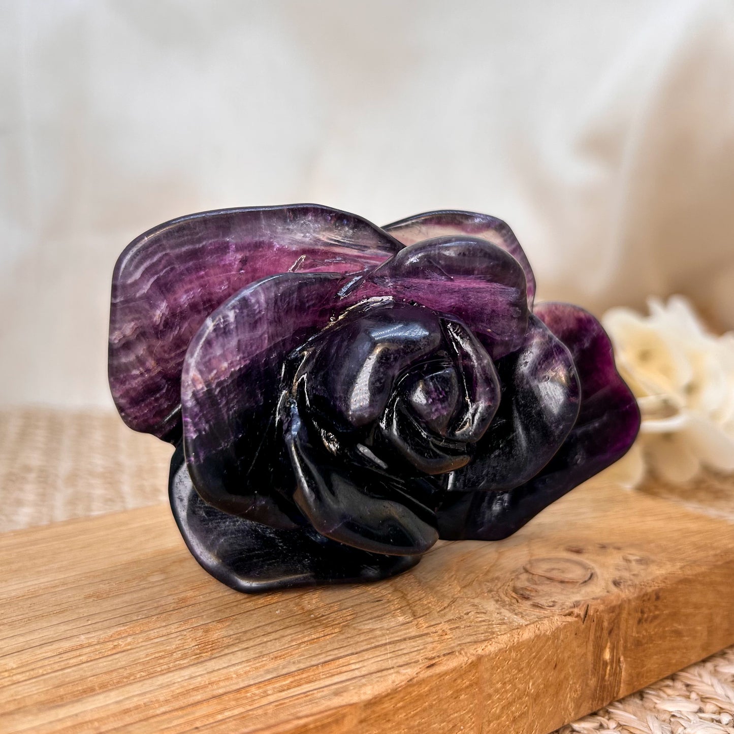 Lila Fluorit Blume / Rose