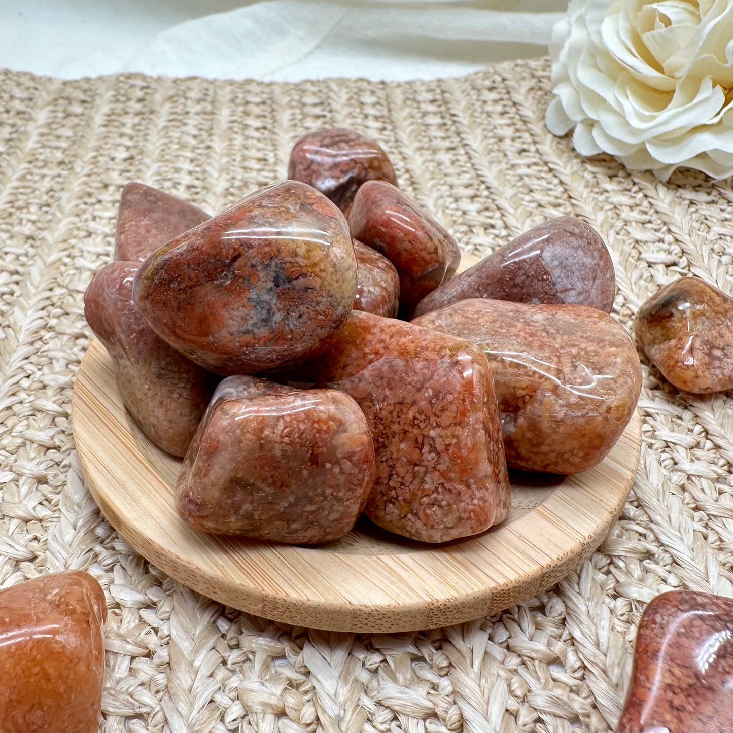 Rosa Moosachat Trommelstein