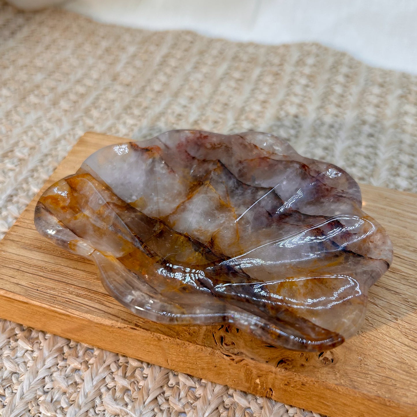 Golden Healer Muschel Schale