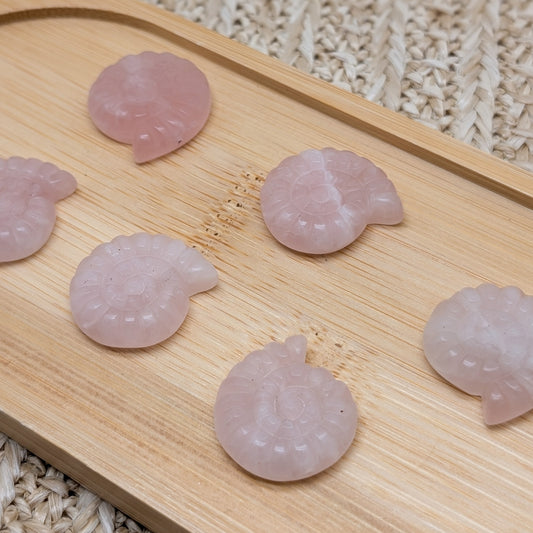 Schnecke Perle Rosenquarz