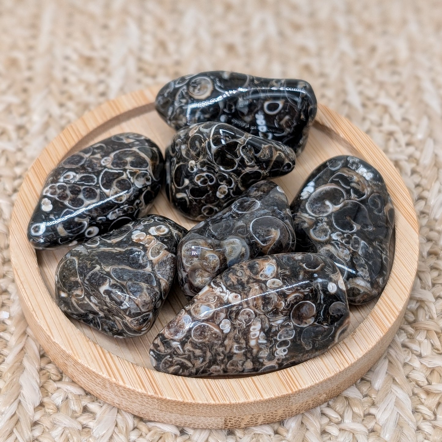 Turitella Jaspis Trommelstein