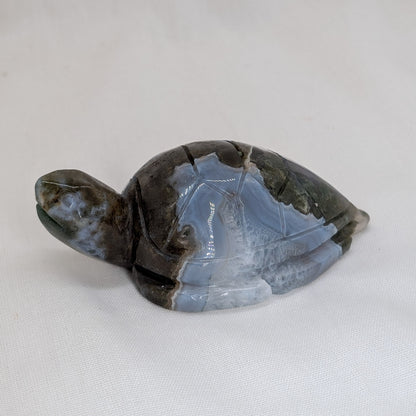 Moosachat Schildkröte [C]