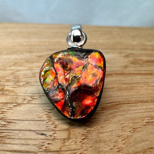 Ammolith Kettenanhänger, 925 silber [B]