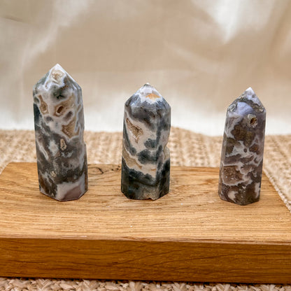 Druzy Moosachat Turm [WA-WC]