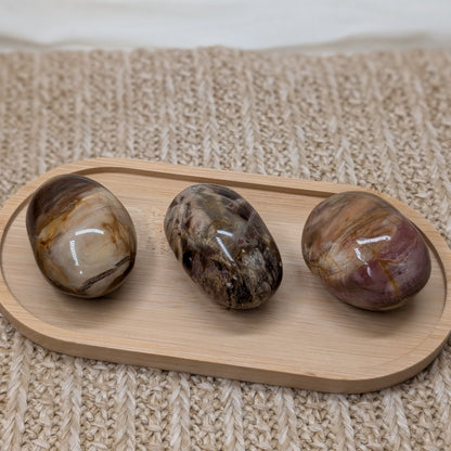 Versteinertes Holz Handstein [VA-VC]