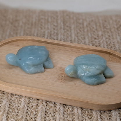 Karibischer Calcit Schildkröte [C+D]