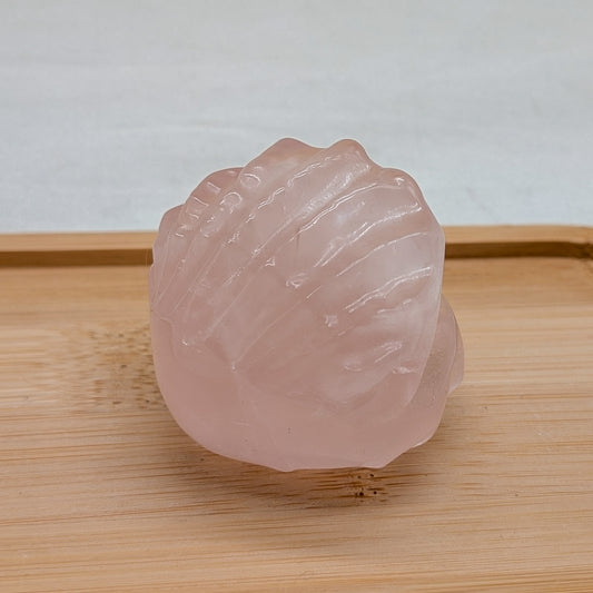 Rosenquarz Muschel [B]