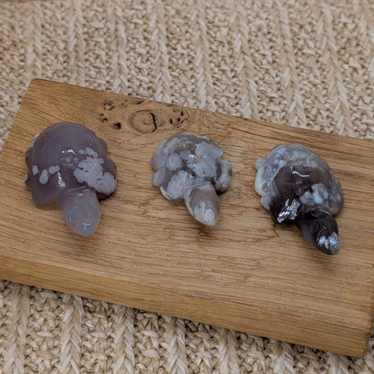 Blumenachat Schildkröte [A-C]