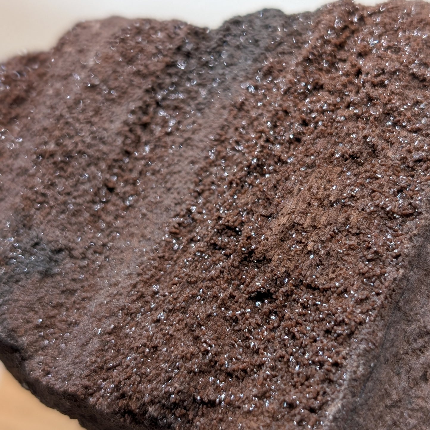 Feenholz / Permineralisiertes Holz [A]