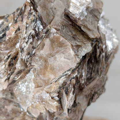 Golden Mica Rohstück auf Ständer [A+B]