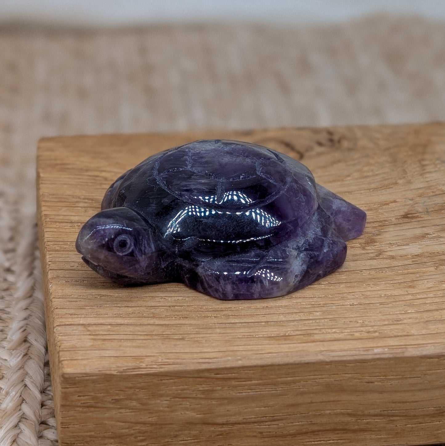 Amethyst Schildkröte [A+B]