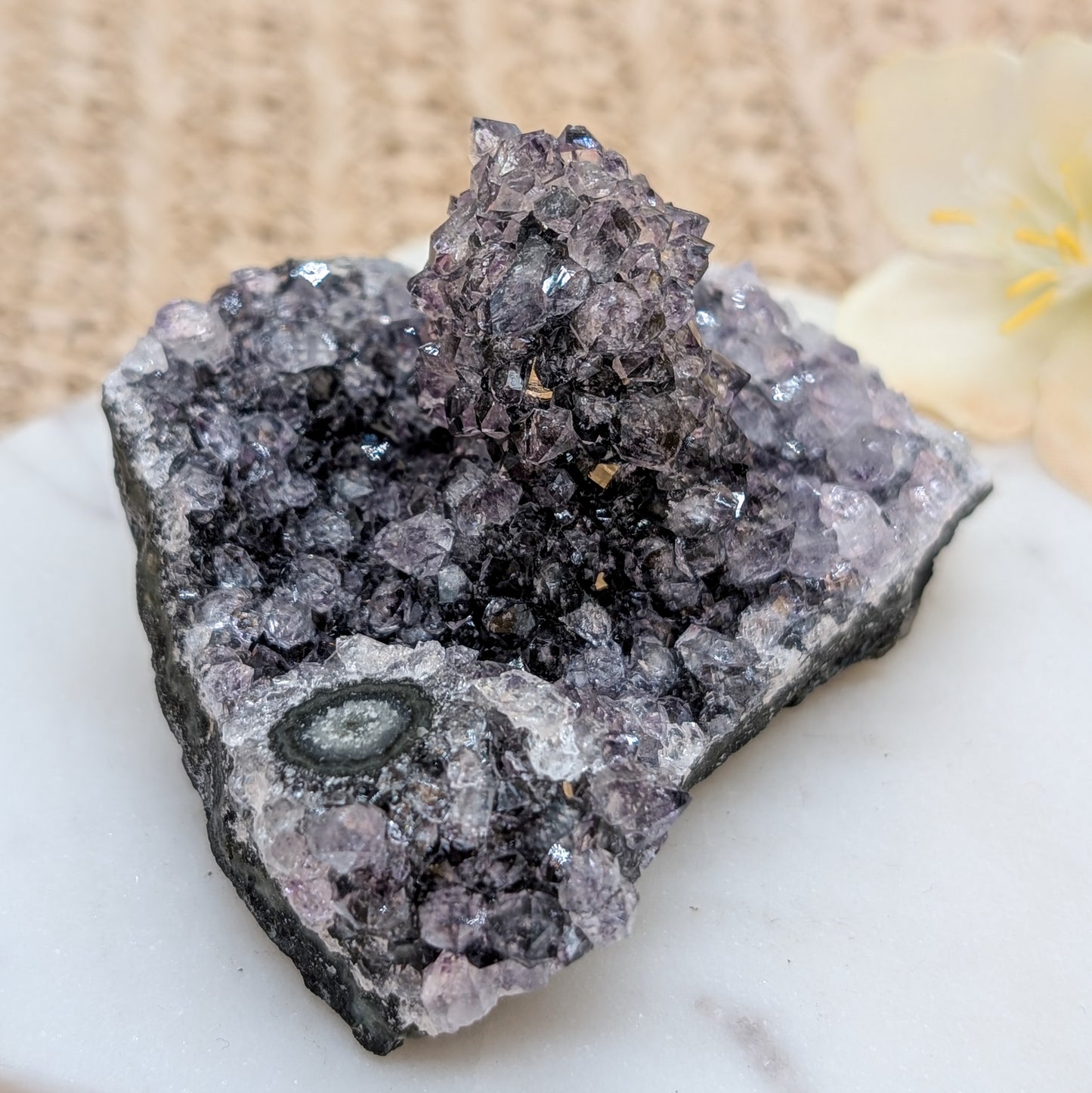 Amethyst Cluster / Freiform [SP]