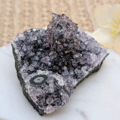 Amethyst Cluster / Freiform [SP]