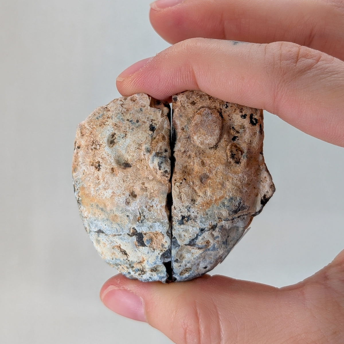Druzy Achat Geode (Paar) [S]
