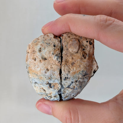 Druzy Achat Geode (Paar) [S]