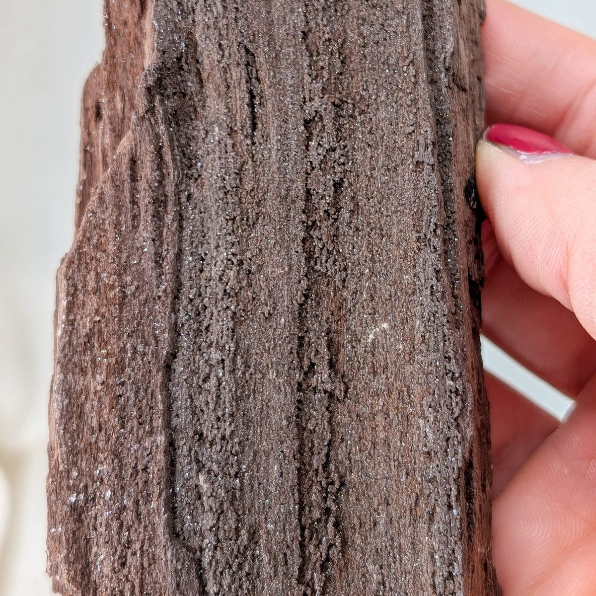 Feenholz / Permineralisiertes Holz [AT]