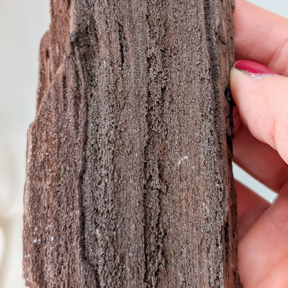Feenholz / Permineralisiertes Holz [AT]