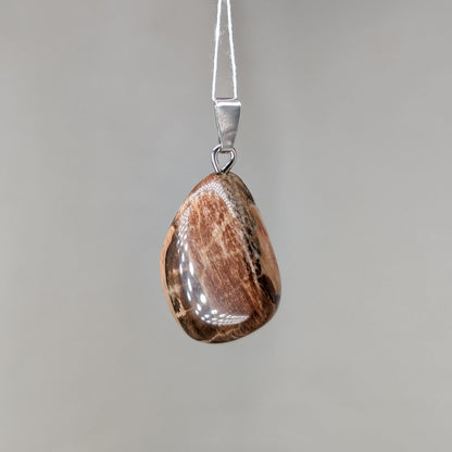 Versteinertes Holz Kettenanhänger, Silber [Z]