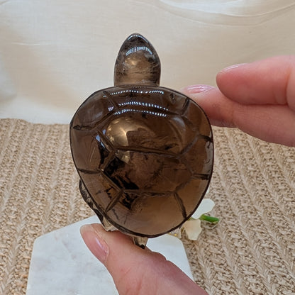 Rauchquarz Schildkröte [RS]