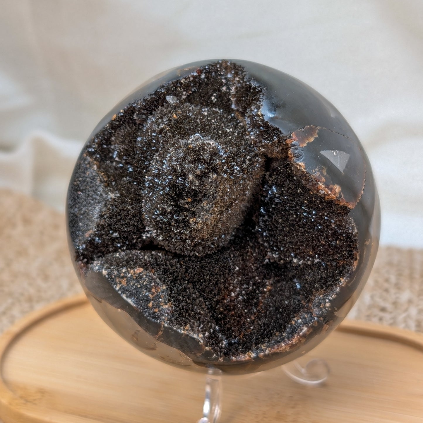 Große Septarien Kugel [S]