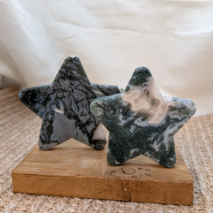 Moosachat Stern [A+B]