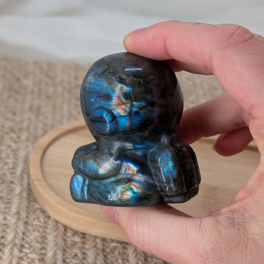 Labradorit Astronaut [R]