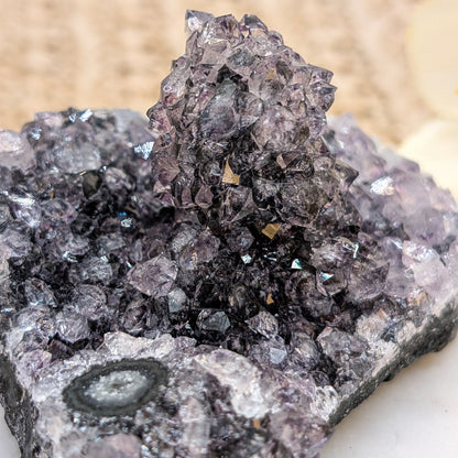Amethyst Cluster / Freiform [SP]