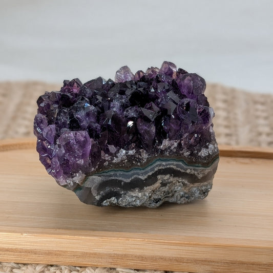 Dunkles Amethyst Cluster [OQ]