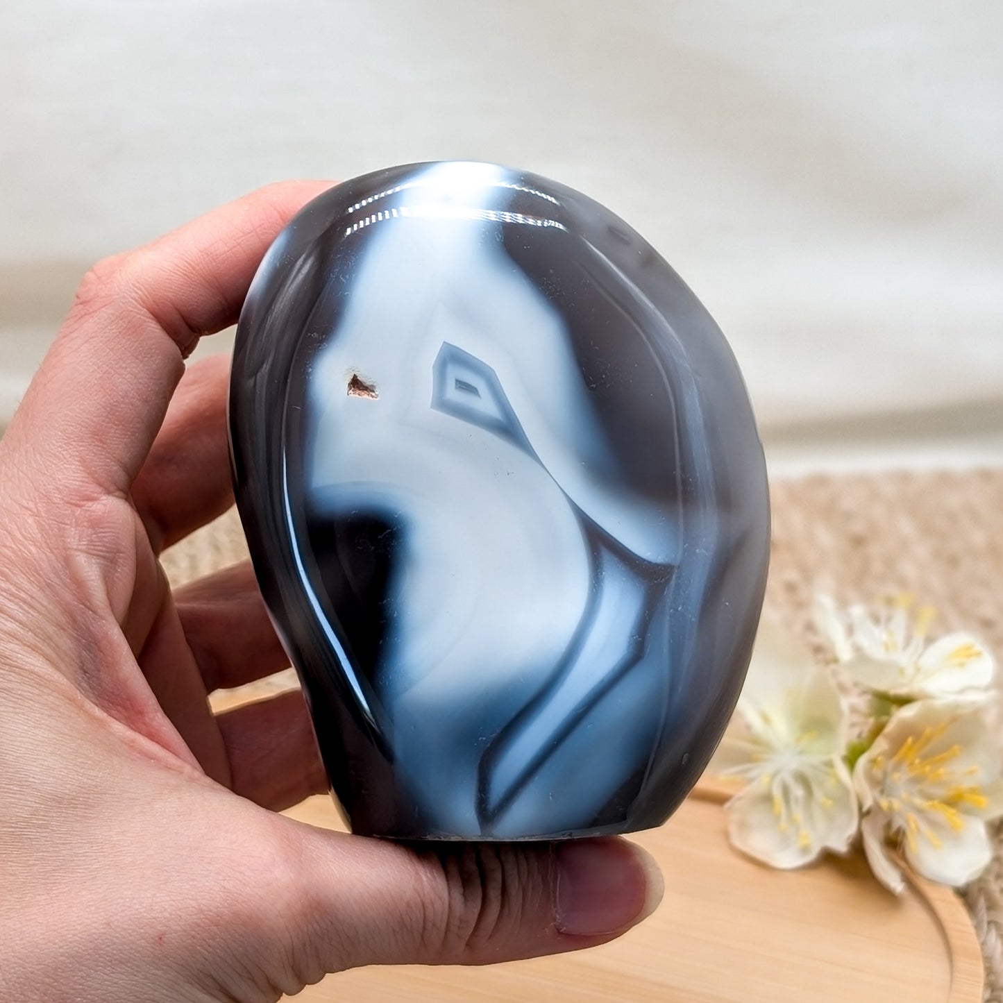 Orca Achat Freiform [OZ]