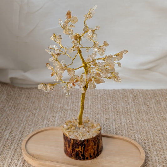 Edelsteinbaum Citrin