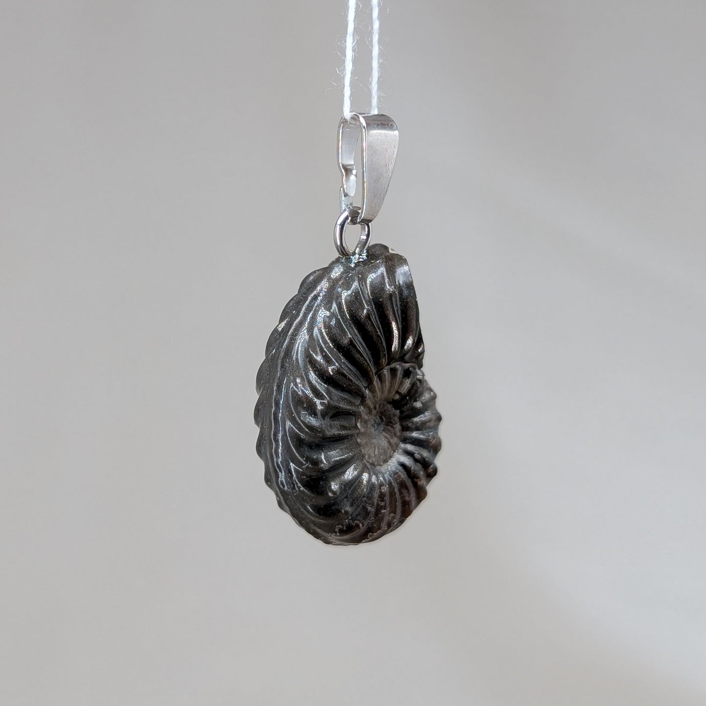 Pyritisierter Ammonit Kettenanhänger [B]