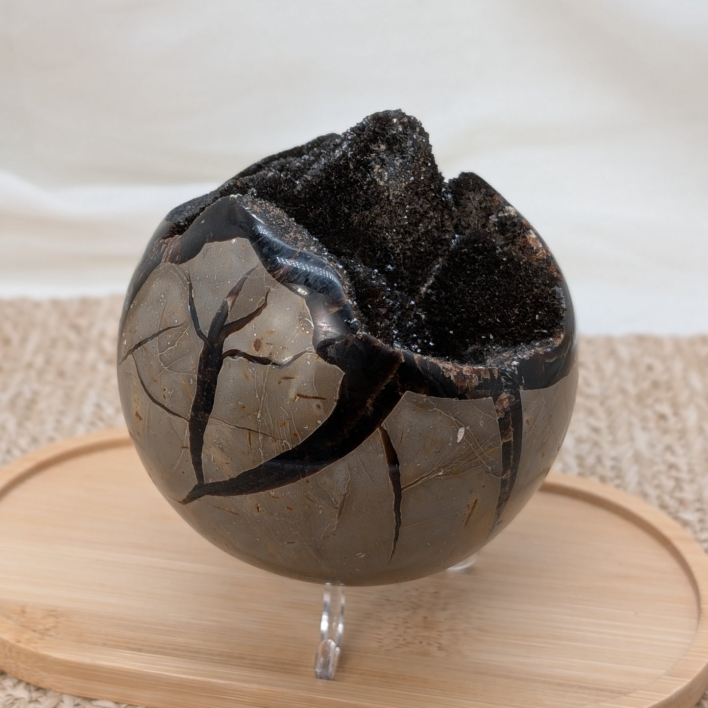 Große Septarien Kugel [S]