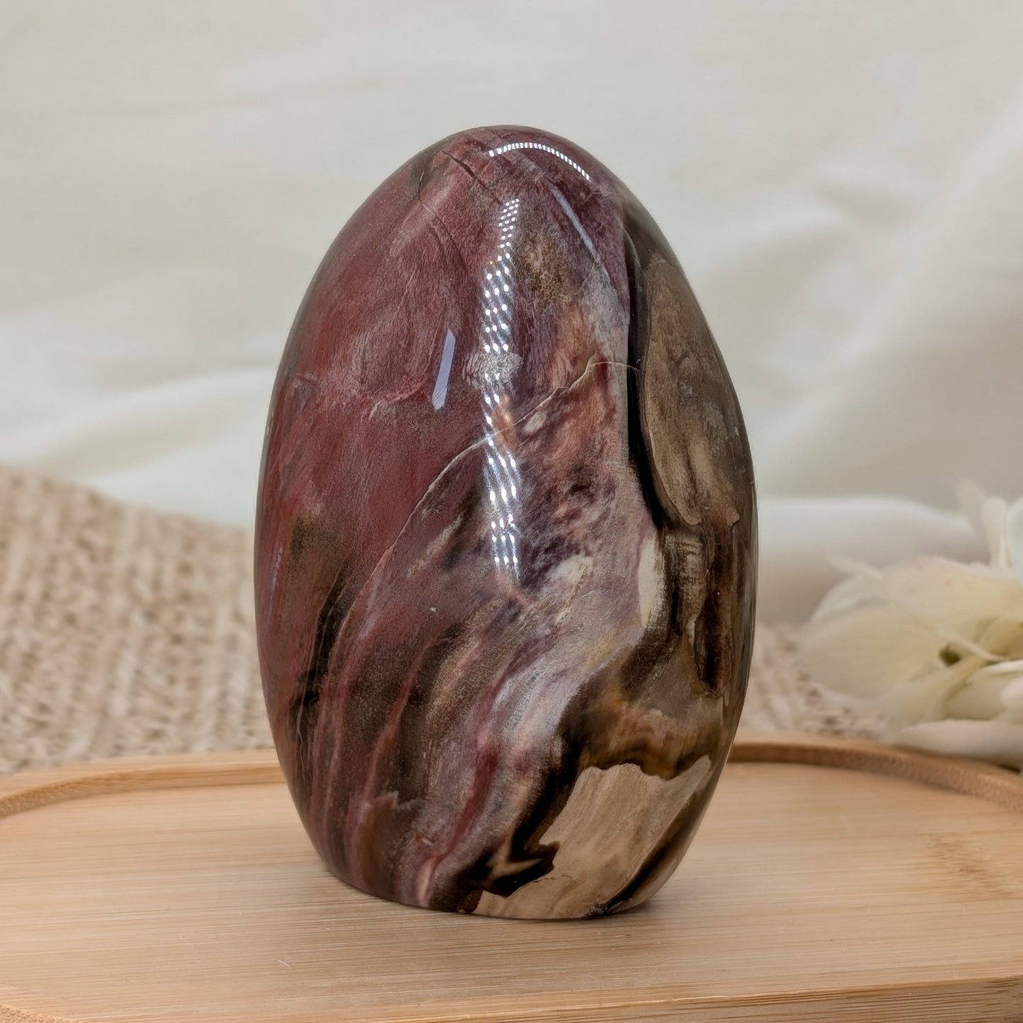 Versteinertes Holz Freiform [VK]