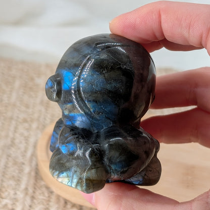 Labradorit Astronaut [R]