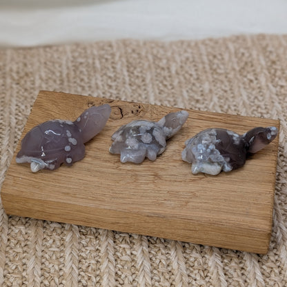 Blumenachat Schildkröte [A-C]