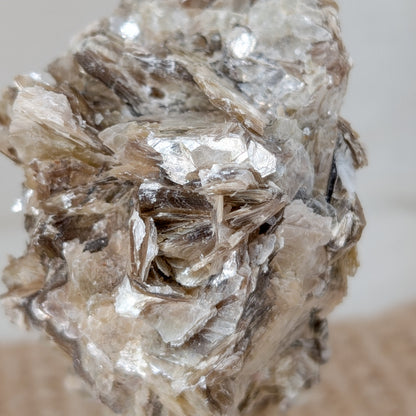 Golden Mica Rohstück auf Ständer [A+B]