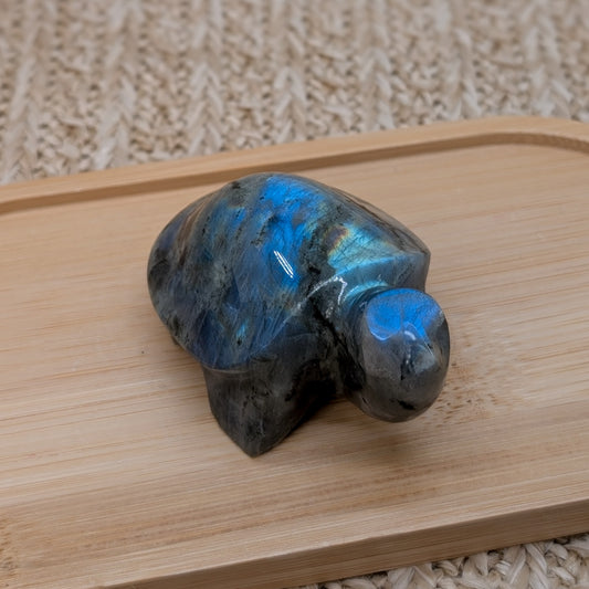 Flashy Labradorit Schildkröte [A]