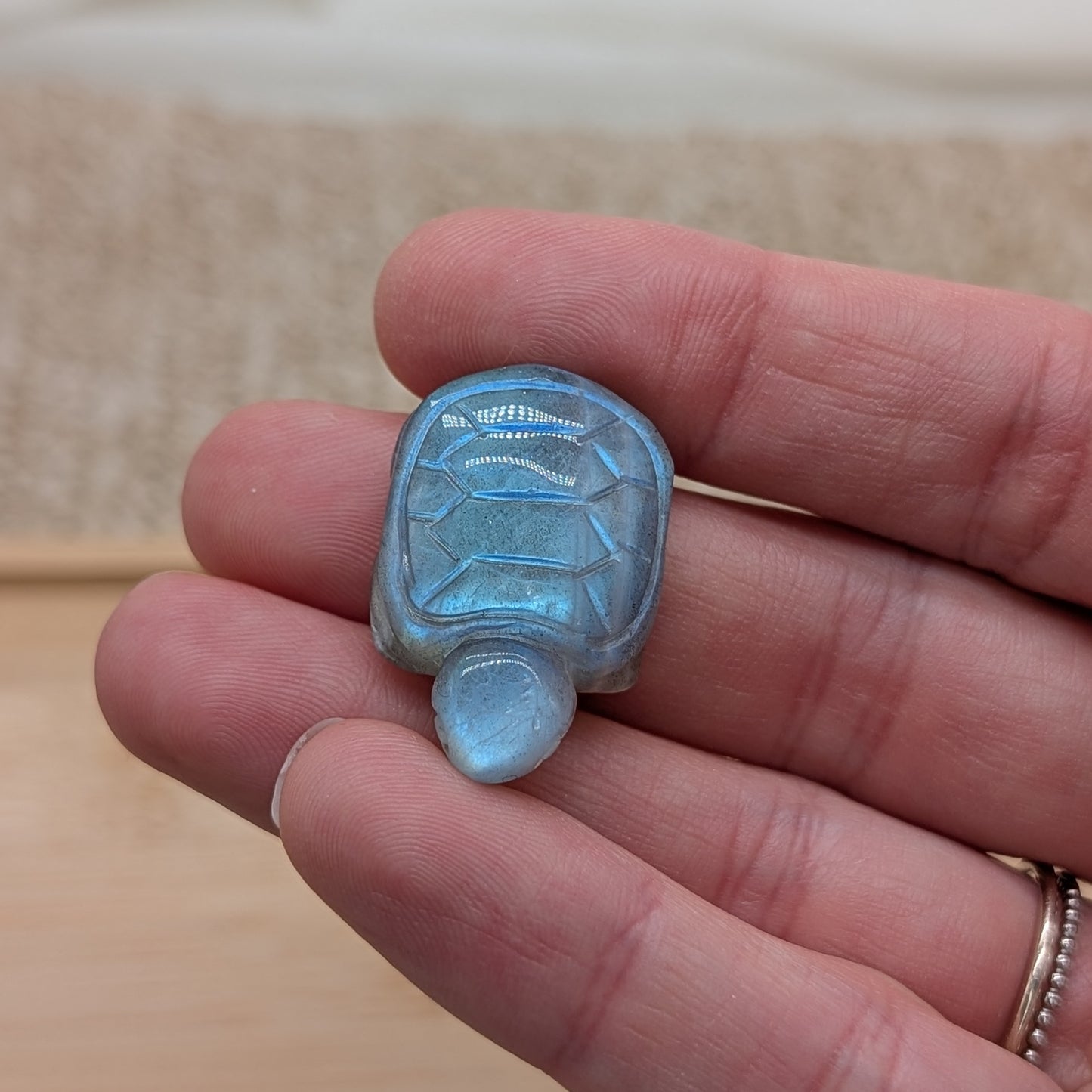 HQ Labradorit Schildkröte mit Flash [RS]