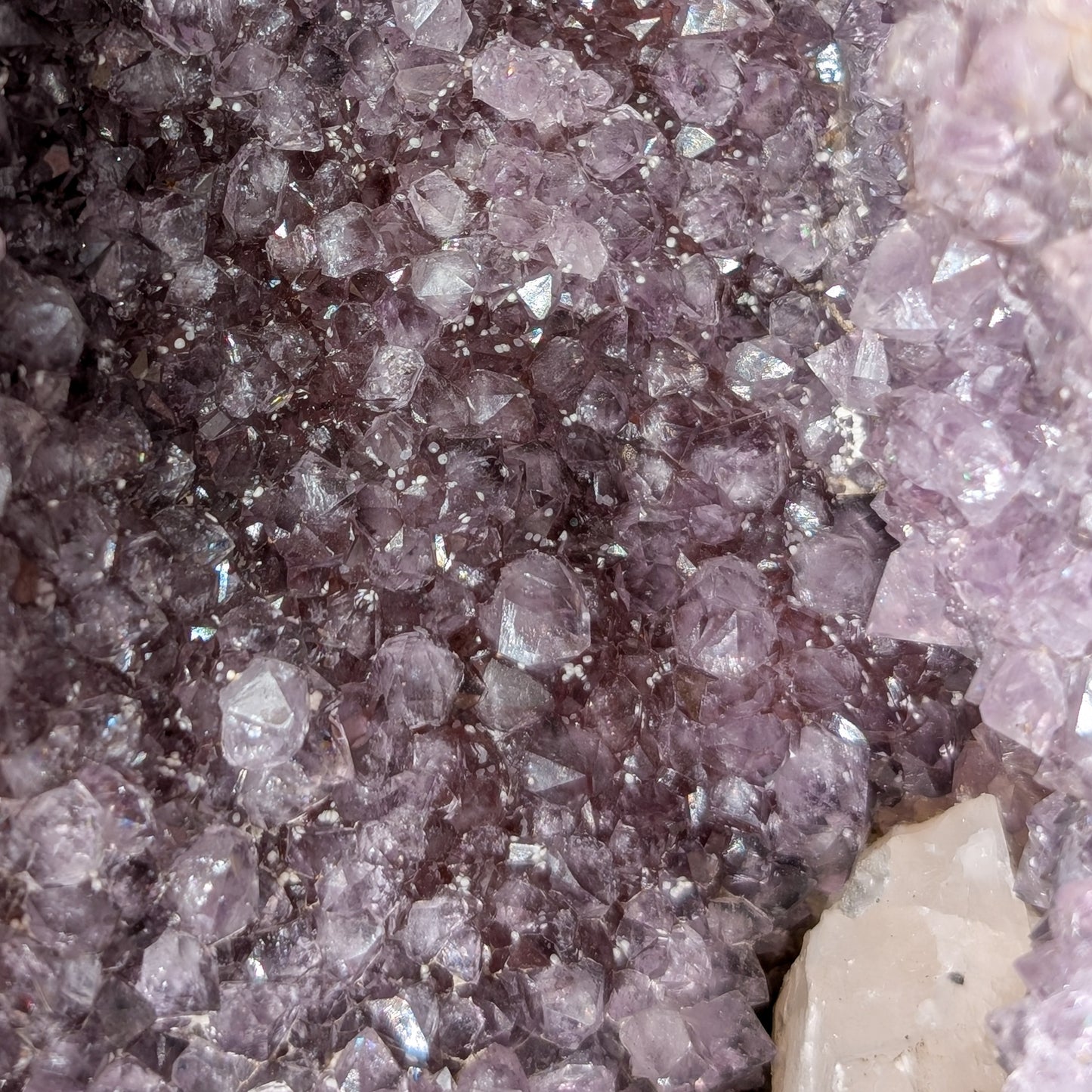 Amethyst Kathedrale [J]