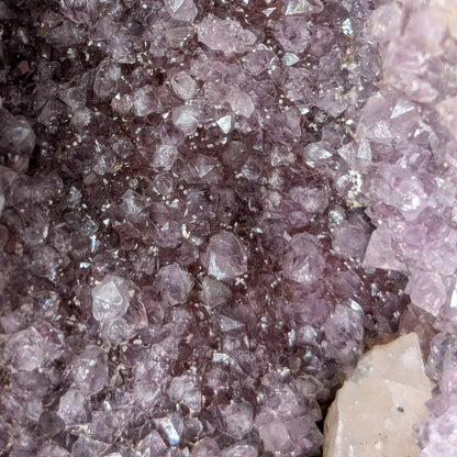 Amethyst Kathedrale [J]