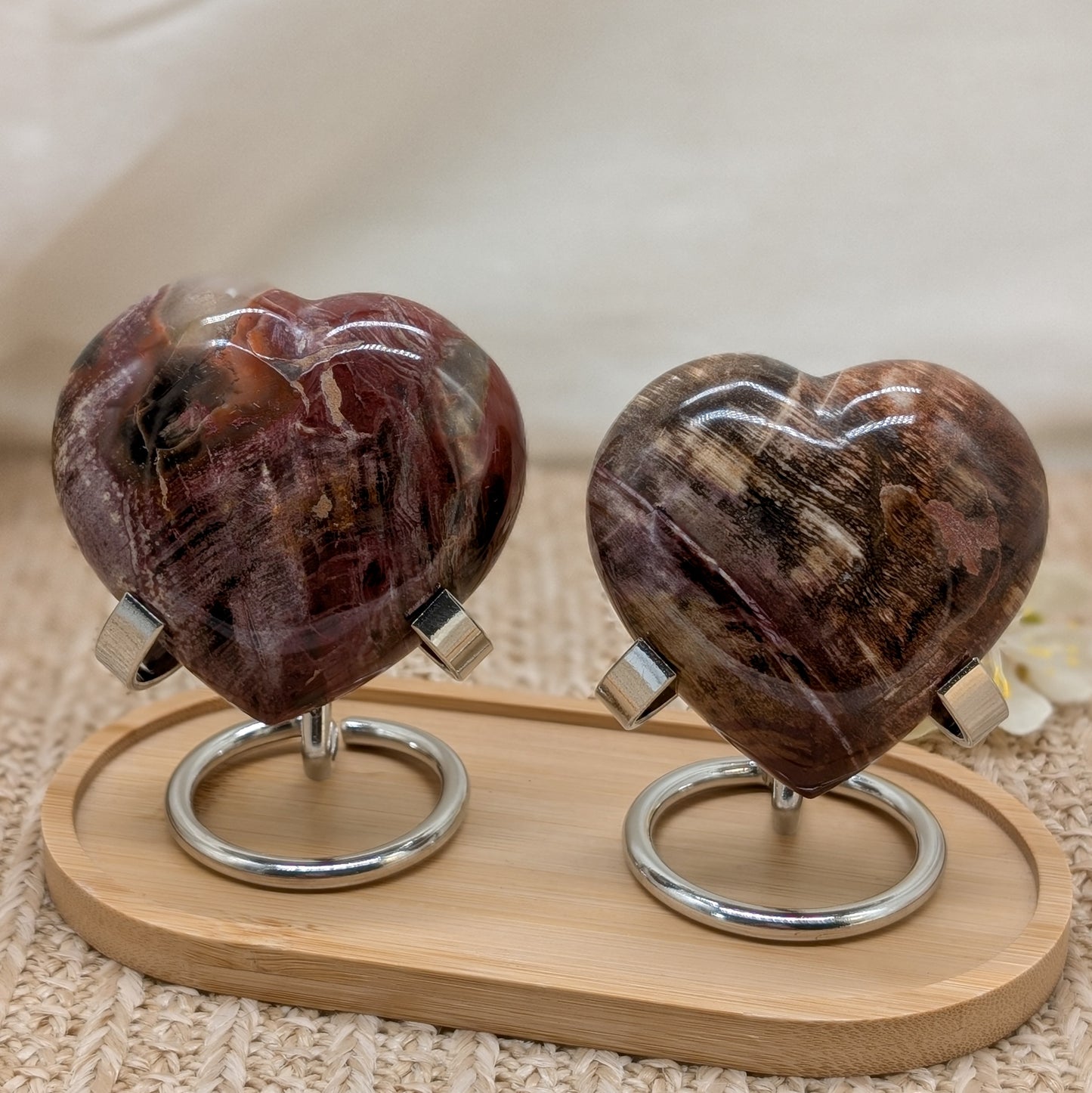 Versteinertes Holz Herz [A+B]