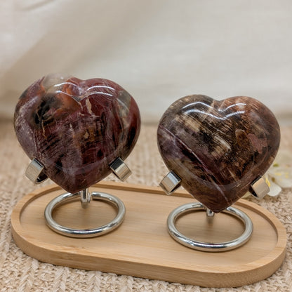 Versteinertes Holz Herz [A+B]