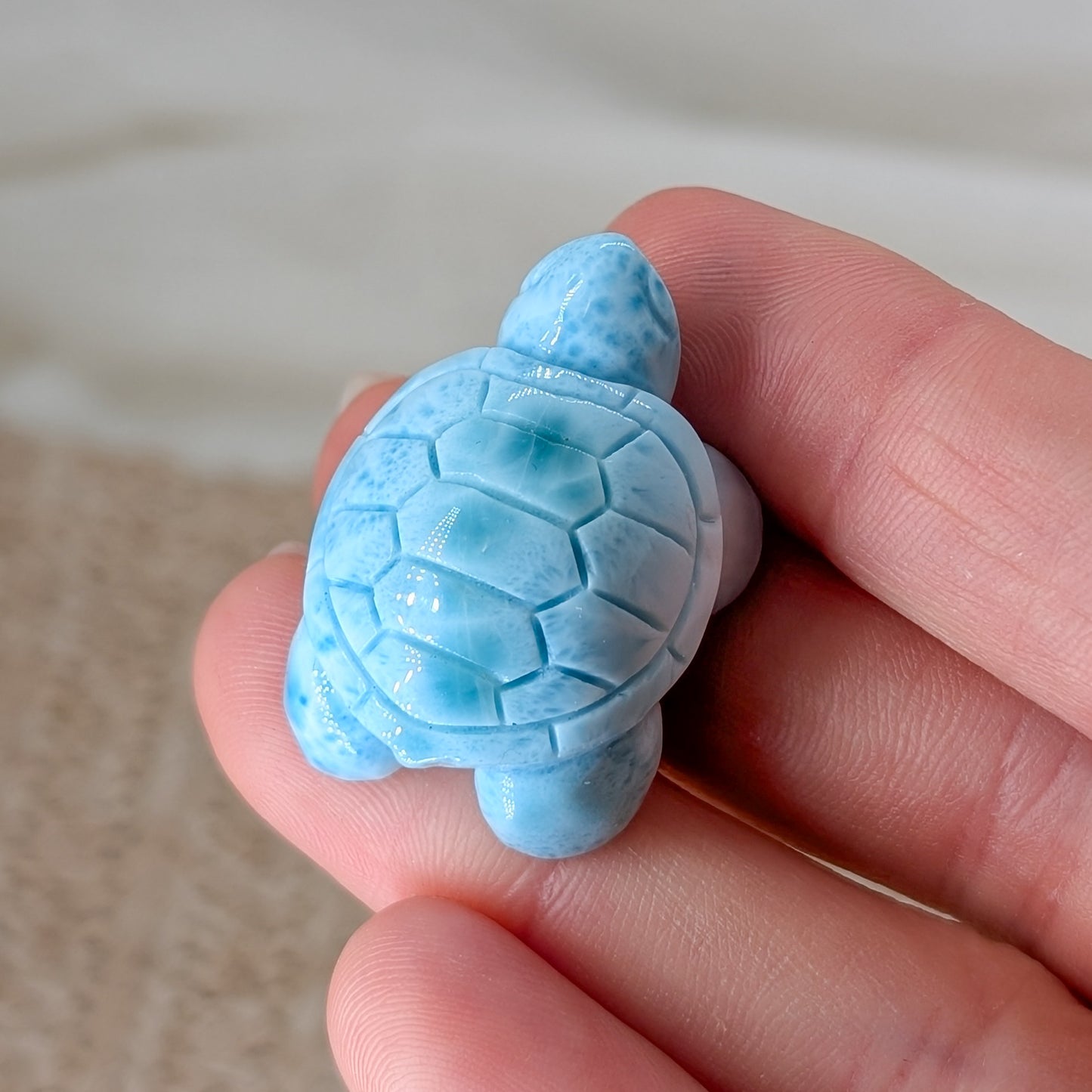 HQ Larimar Schildkröte