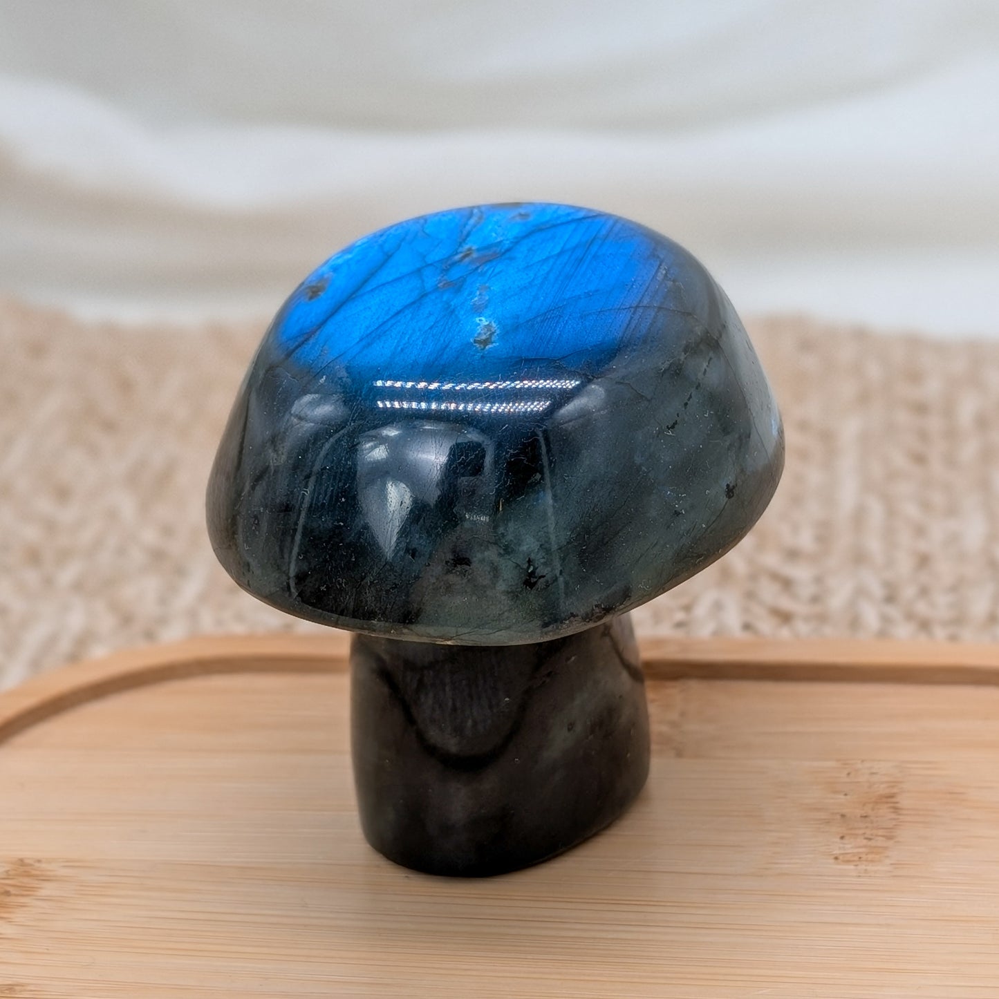 Flashy Labradorit Pilz [F]